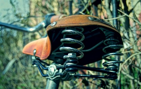 Helmet Grass Personal Protective Equipment Tree