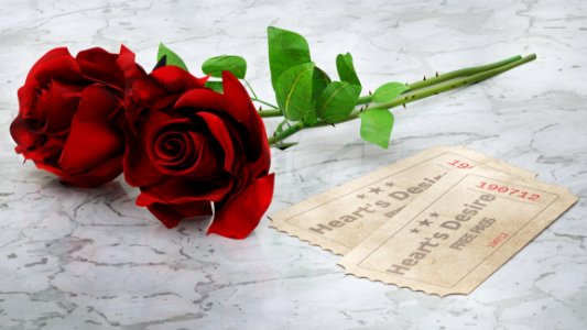 Flower Red Garden Roses Rose