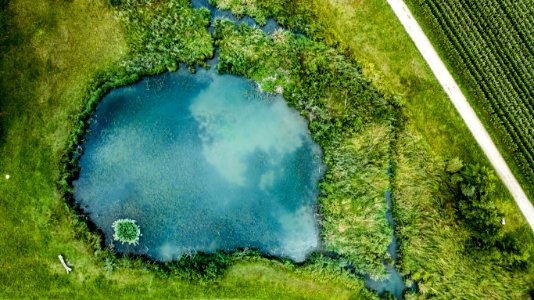Green Water Nature Water Resources