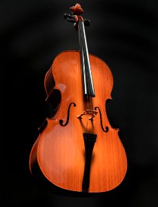 Cello Musical Instrument Violin Family String Instrument
