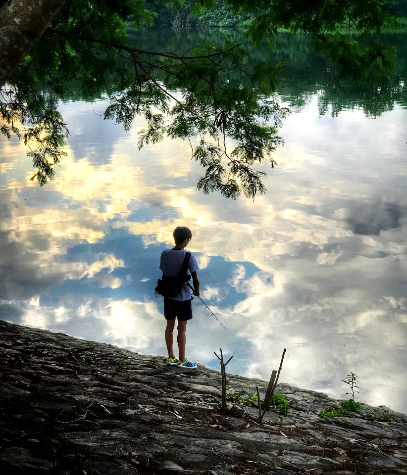 Water Tree Sky Nature