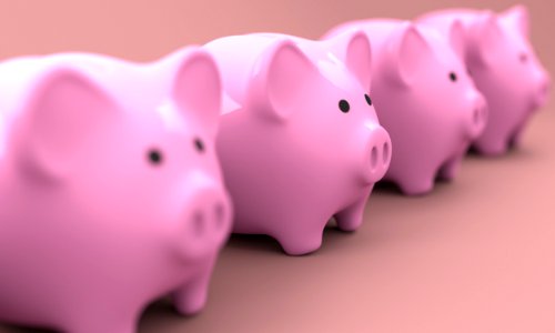 Pink Piggy Bank Nose Close Up photo