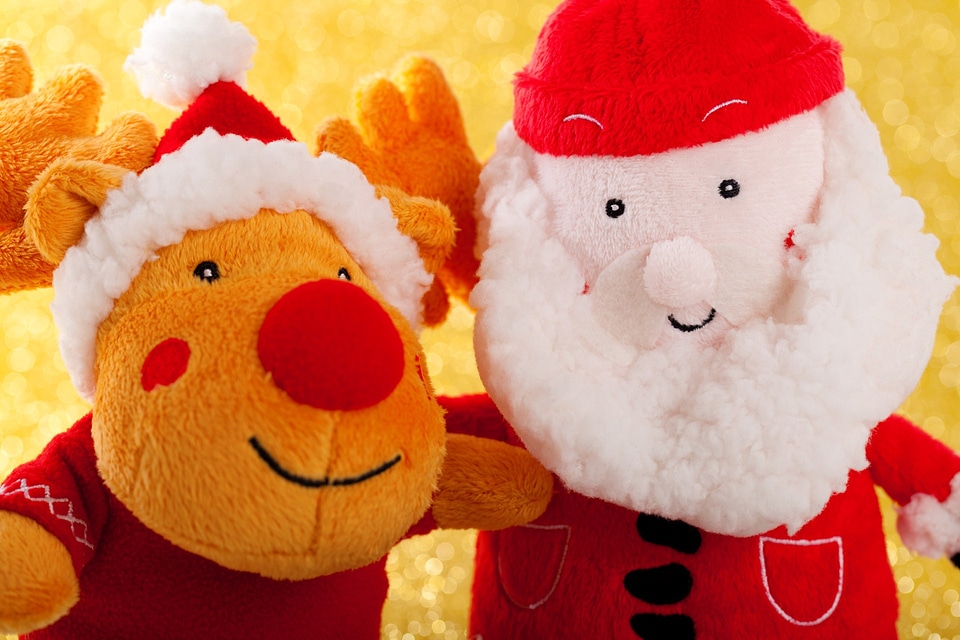Celebration december festive