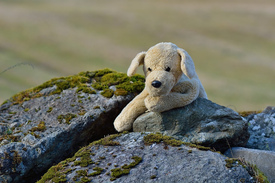 Teddy bear soft toy soft
