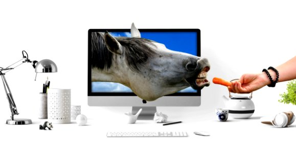 Product Snout Product Design