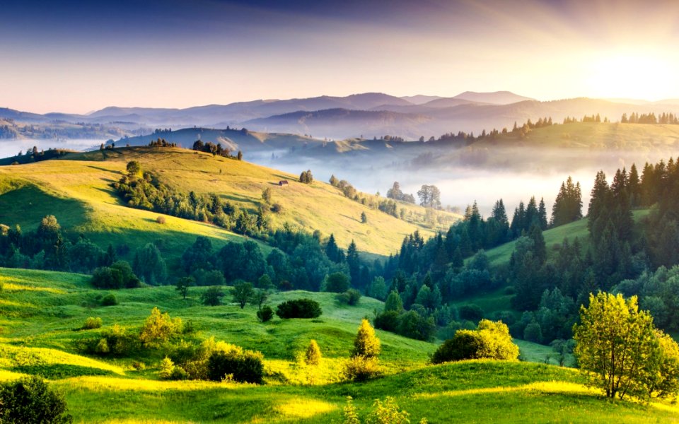 Nature Grassland Highland Wilderness