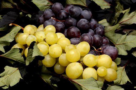 Fruit Grapevine Family Grape Produce photo