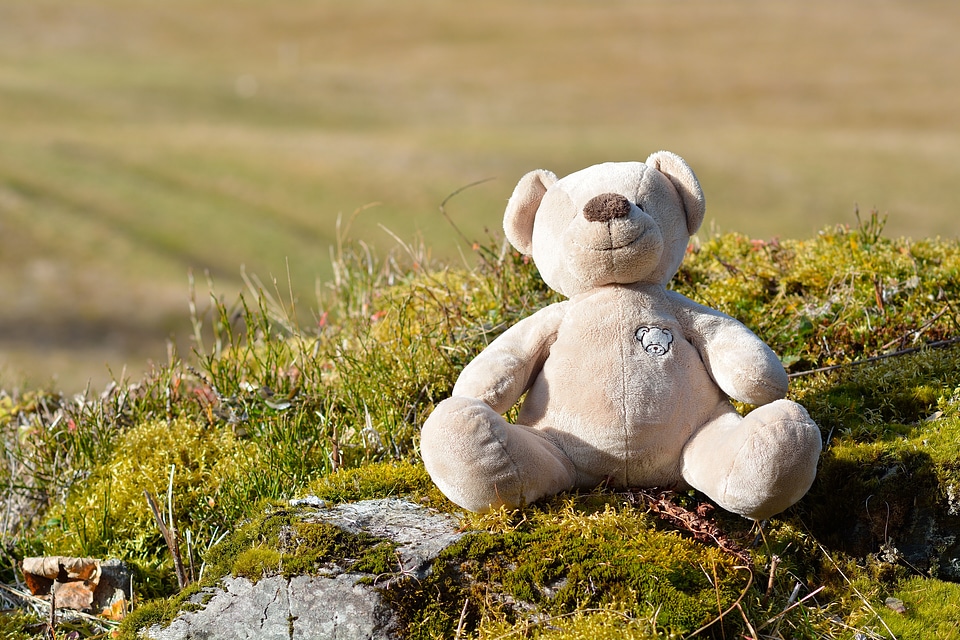 Furry teddy bear stuffed animal soft toy