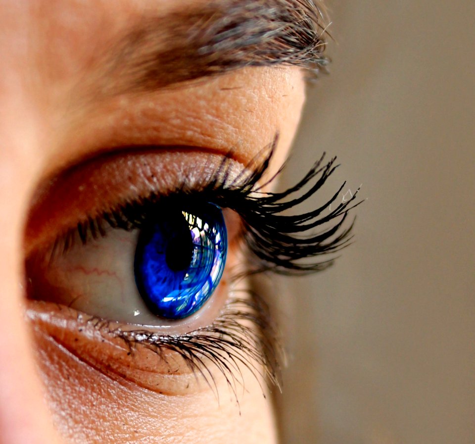Eyebrow Eyelash Eye Close Up