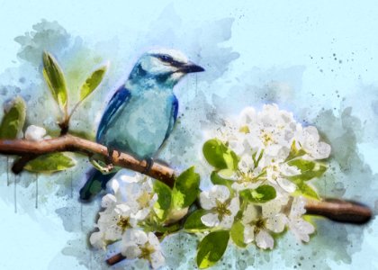 Bird Fauna Watercolor Paint Painting