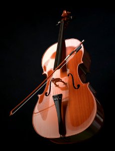 Musical Instrument Cello Violin Family Double Bass photo
