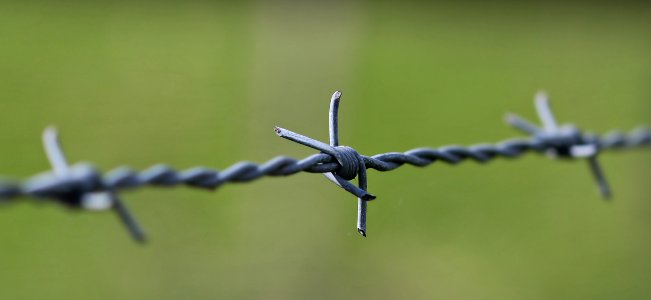 Wire Fencing Barbed Wire Grass Fence photo