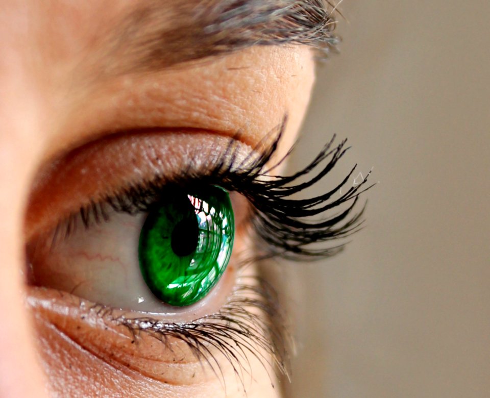 Eyebrow Eyelash Eye Close Up