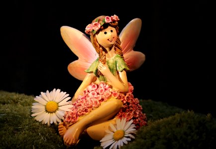 Figurine Fairy Petal Flower photo