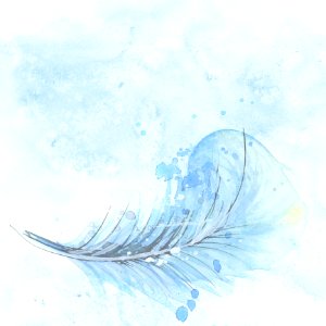 Water Sky Feather Wave