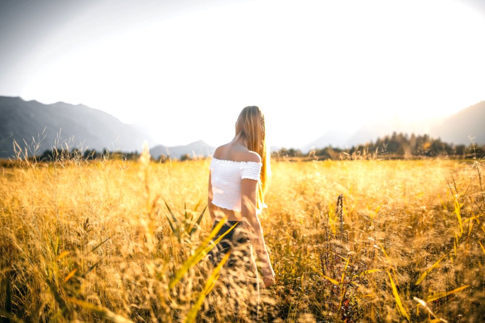 Agriculture Countryside Crop Cropland