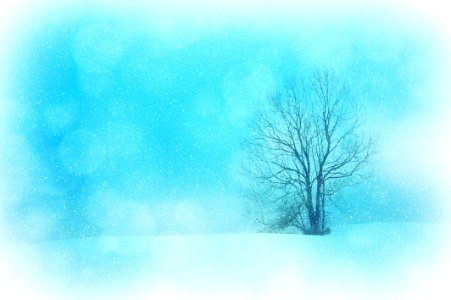 Blue Sky Atmosphere Winter photo