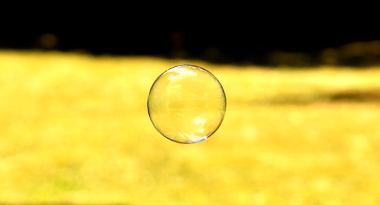 Yellow Grass Close Up Atmosphere photo