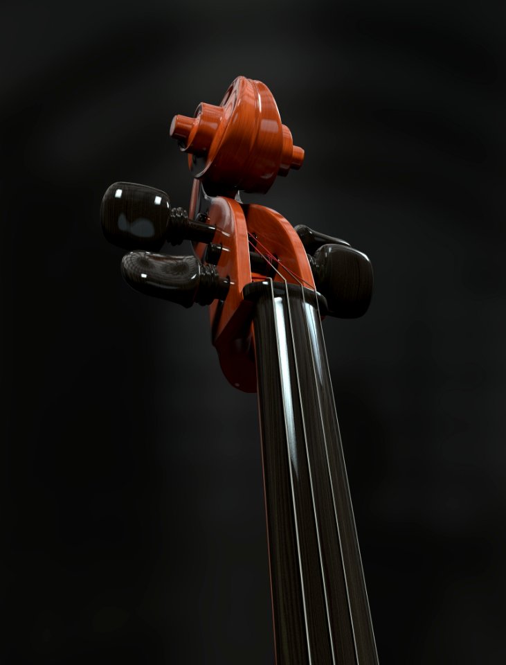 Musical Instrument Cello Violin Family String Instrument