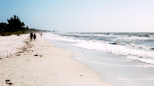 Beach Horizon Nature Ocean