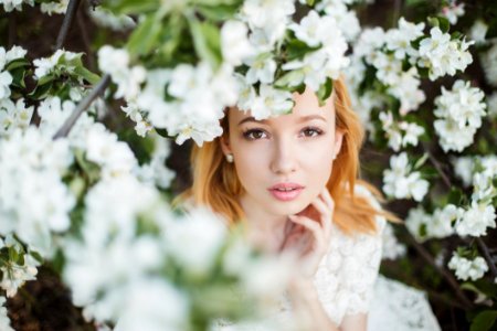 Flower Bride Photograph Woman