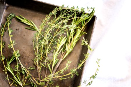 Fresh Herbs Rosemary And Thyme photo