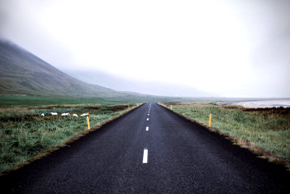 Adventure Asphalt Autumn Calmness