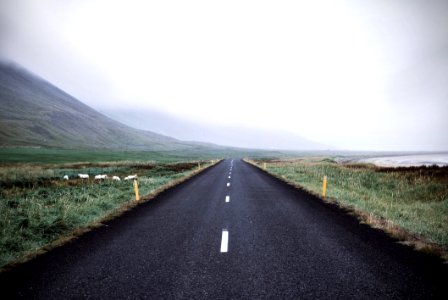 Adventure Asphalt Autumn Calmness