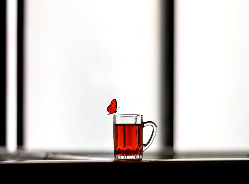 Animal Beverage Blur Butterfly