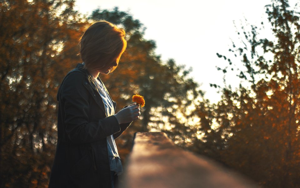 Autumn Beautiful Blur Blurry