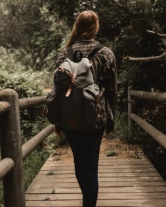 Backpack Blur Bridge