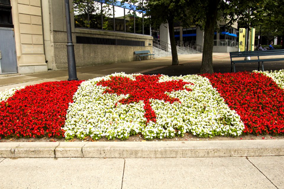 Flowerbed St John New Brunswick