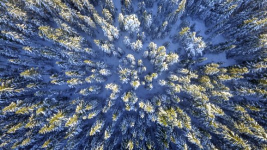Above Aerial Bright Cold