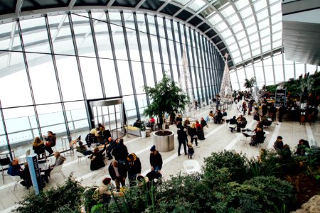 Adults Airport Architectural Design