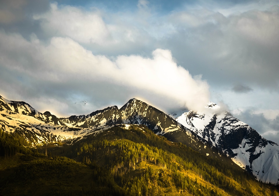 Mountains trees landscape