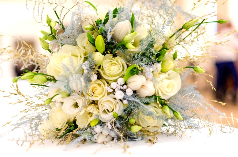 Arrangement Beautiful Beauty Blooming