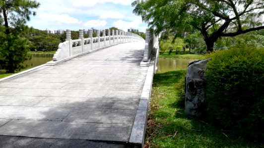 Double Beauty Bridge