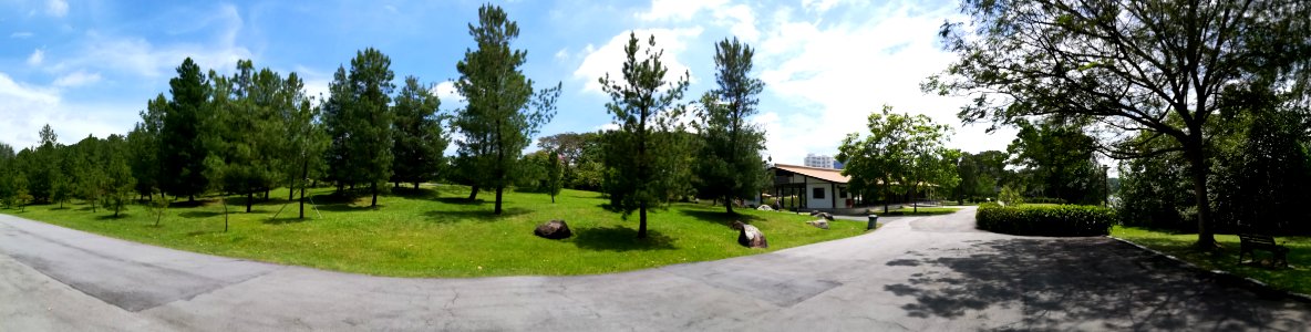 Landscape1