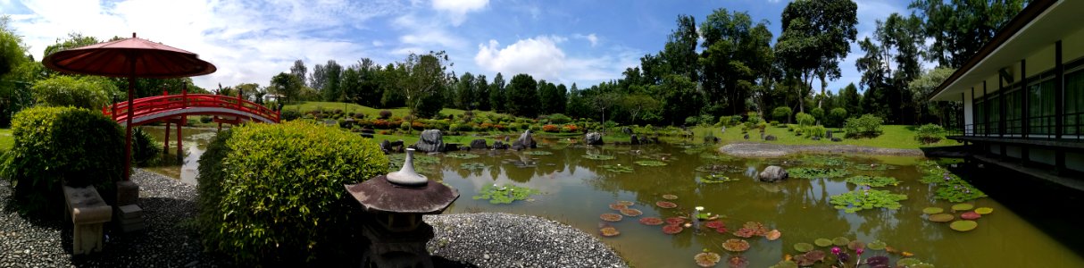 Landscape4