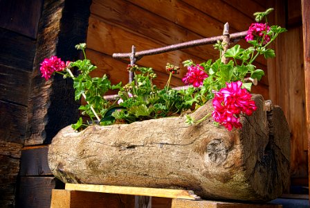 Wooden Flowerpot