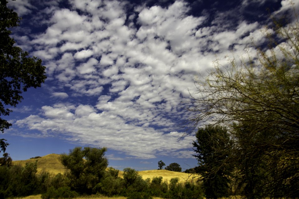 Cheeseboro Canyon