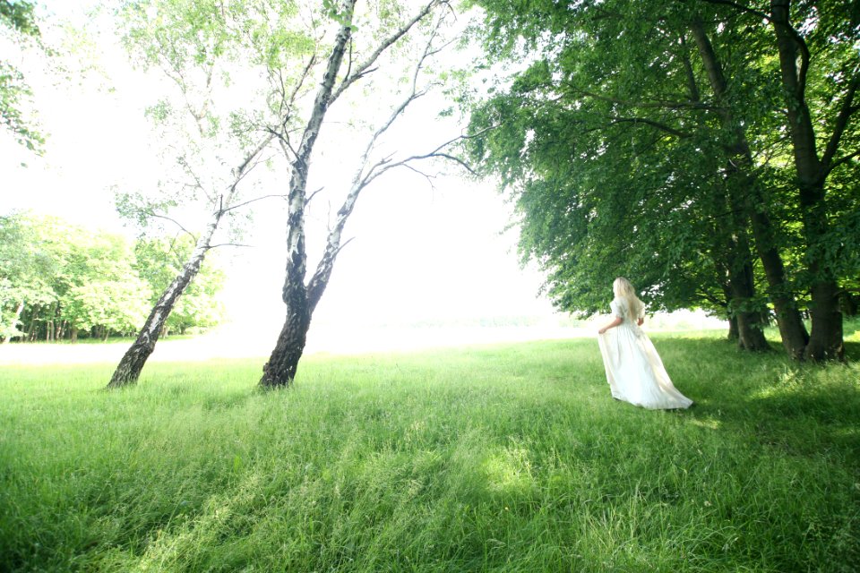 Blond Country Countryside Daylight