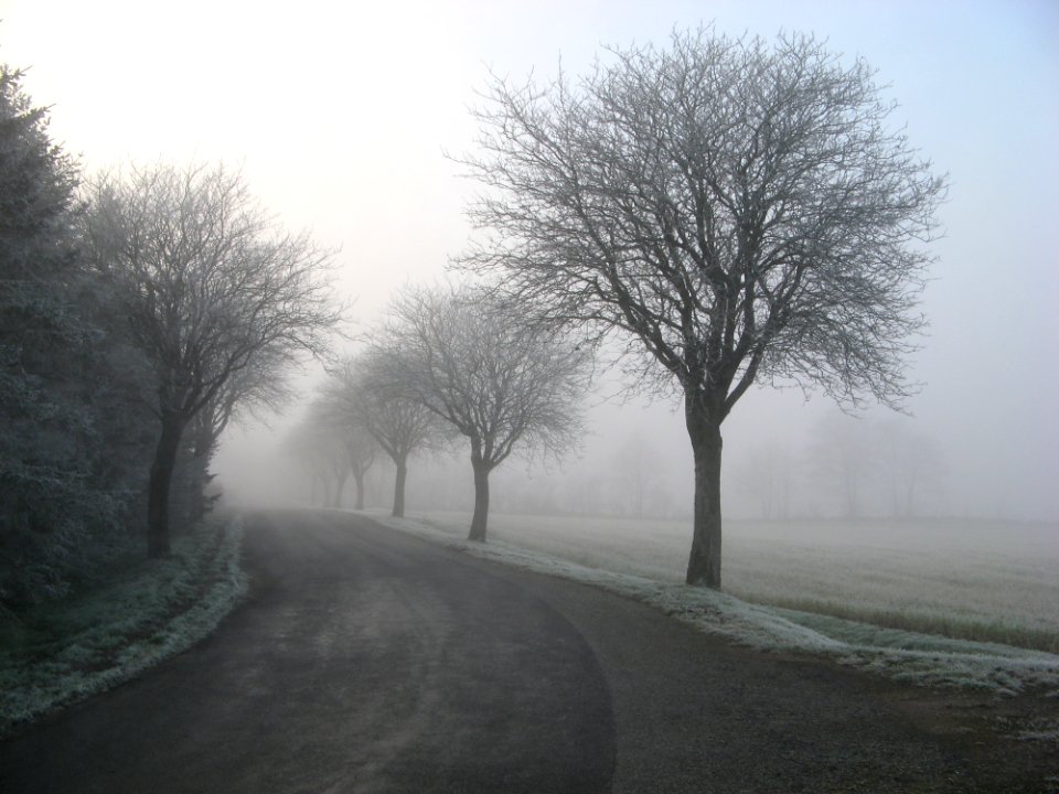 Alone Cold Countryside Fog