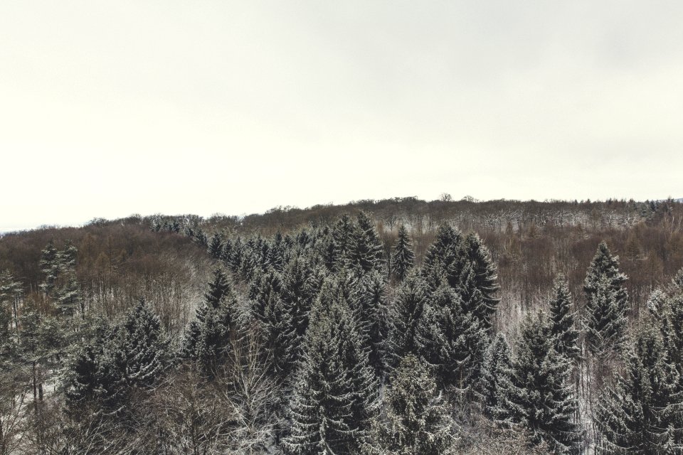 Branches Clouds Cold Environment