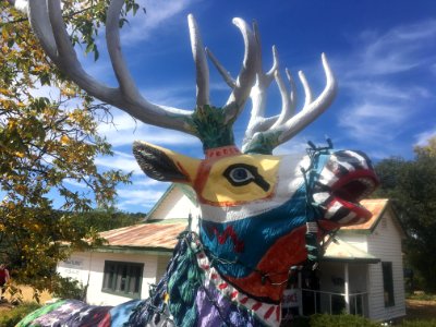 Rainbow Unicorns Got Nothing On Hippy Painted Elk