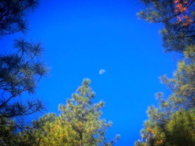An Arizona Framed Moon