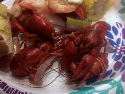 Arizona Shellfish