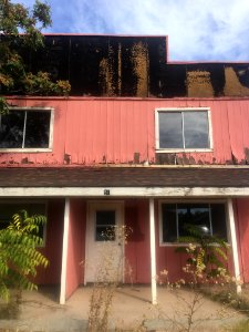 Building 51 In Payson AZ