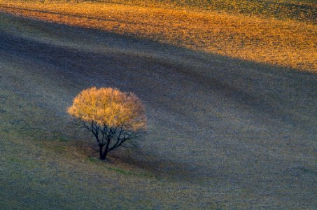 Ecosystem Sky Morning Ecoregion photo