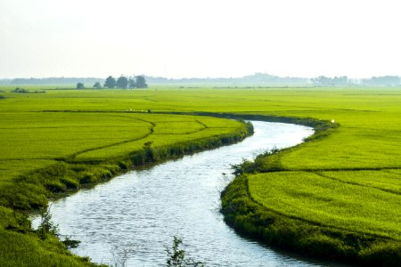 Grassland Field Water Resources Plain
